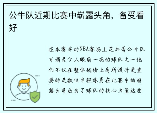 公牛队近期比赛中崭露头角，备受看好